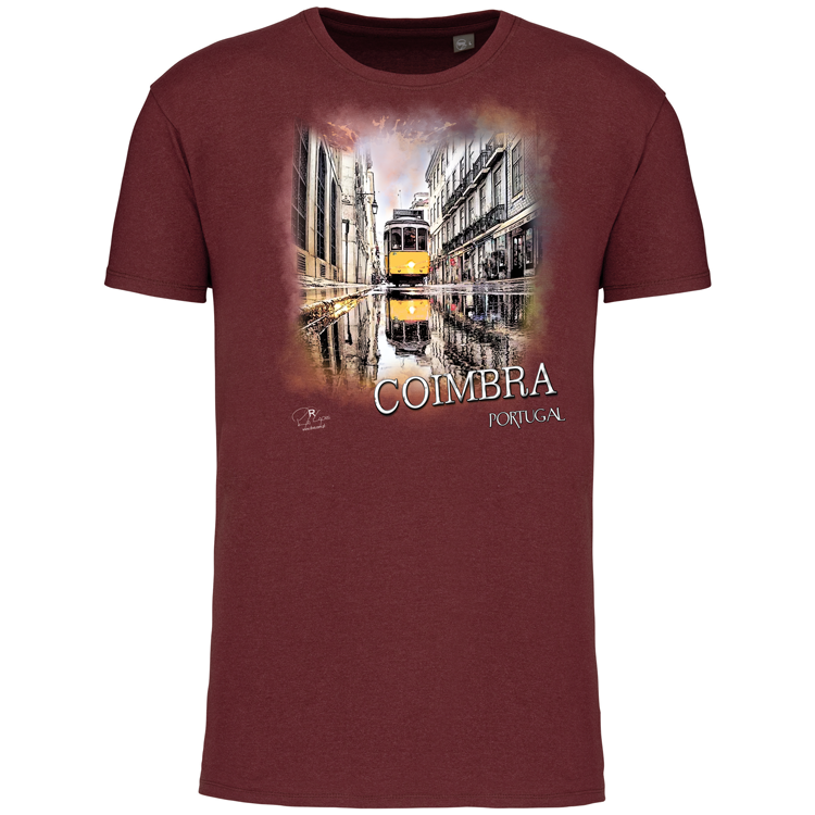 T-Shirt Algodão Biológico Espelho Coimbra