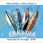 Magnético Surfboards Ericeira