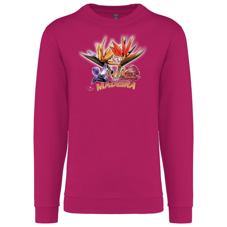 Sweatshirt Kariban sem Capuz Estrelícias