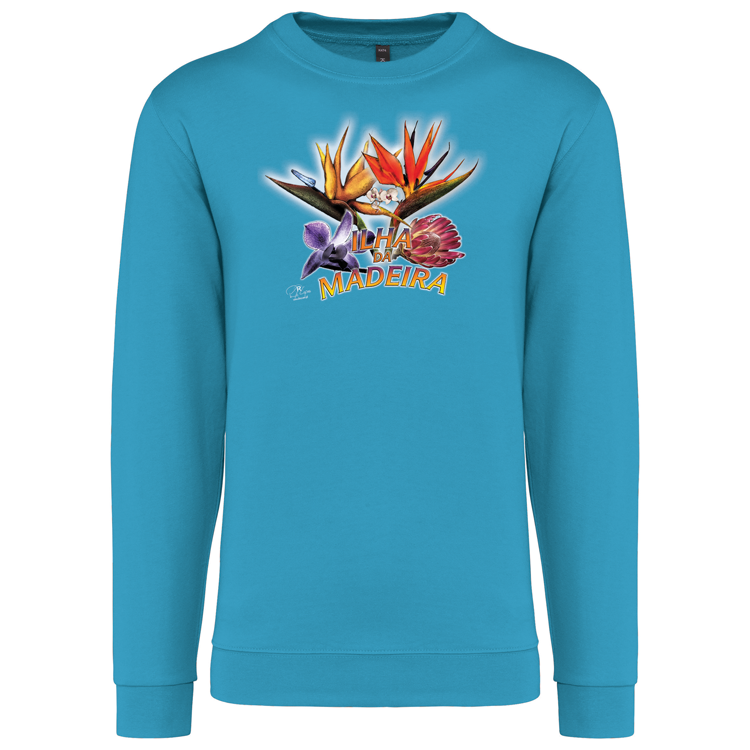 Sweatshirt Kariban sem Capuz Estrelícias