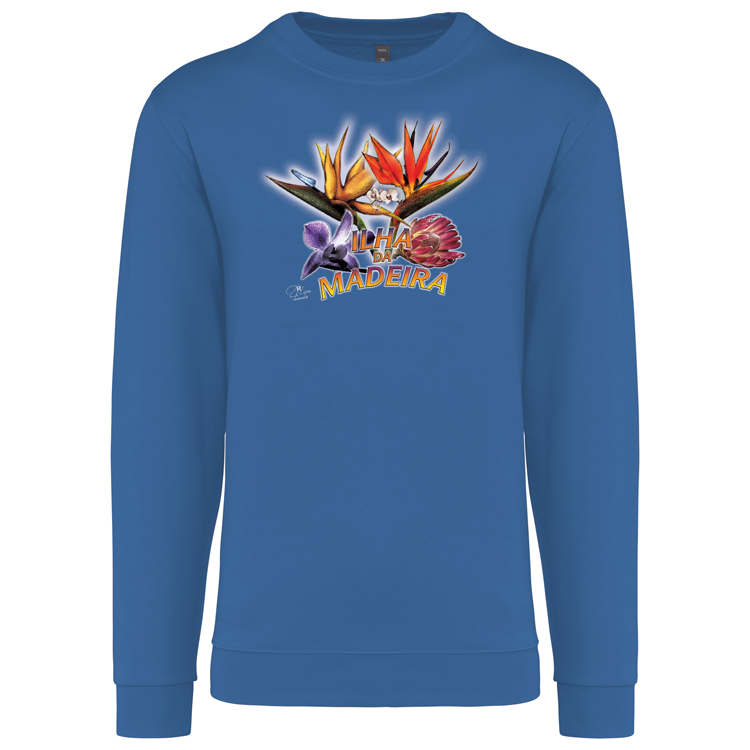 Sweatshirt Kariban sem Capuz Estrelícias