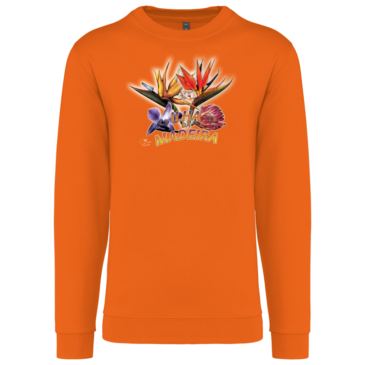 Sweatshirt Kariban sem Capuz Estrelícias