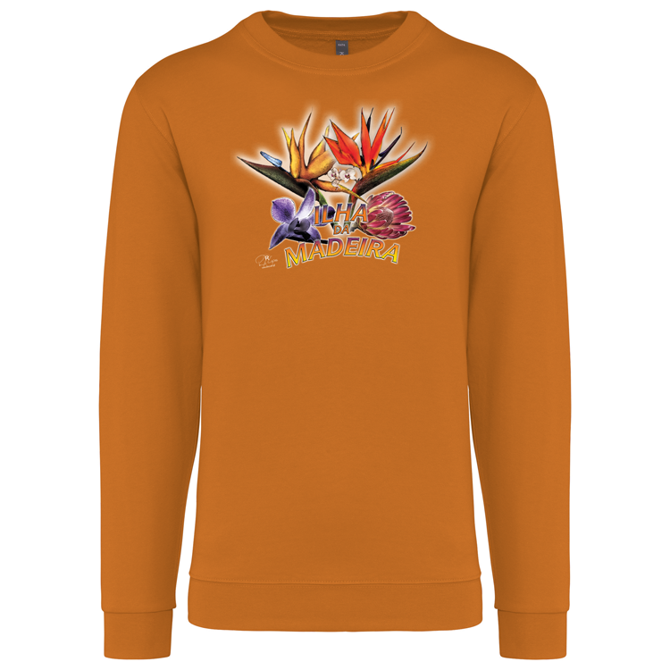 Sweatshirt Kariban sem Capuz Estrelícias