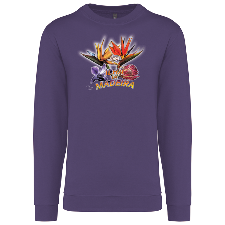 Sweatshirt Kariban sem Capuz Estrelícias