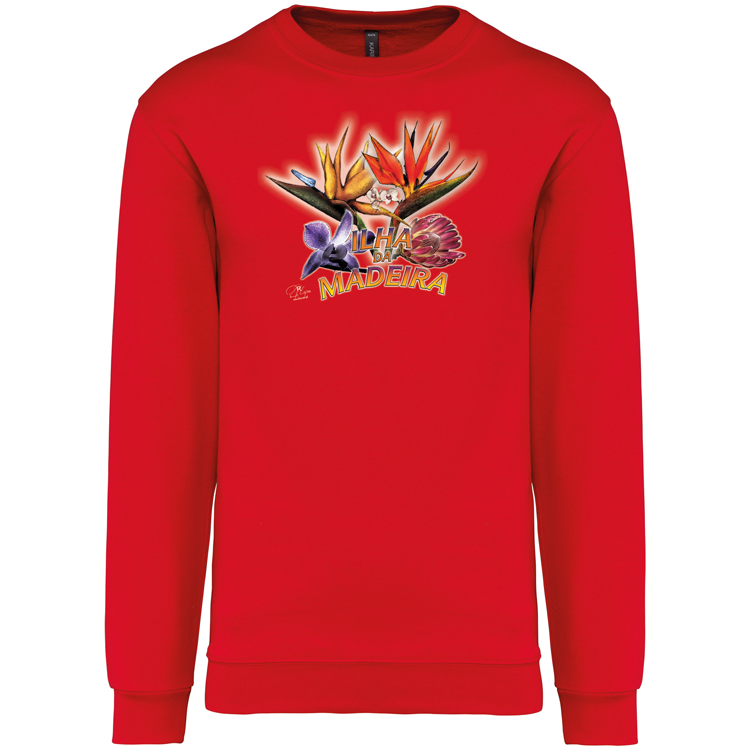 Sweatshirt Kariban sem Capuz Estrelícias