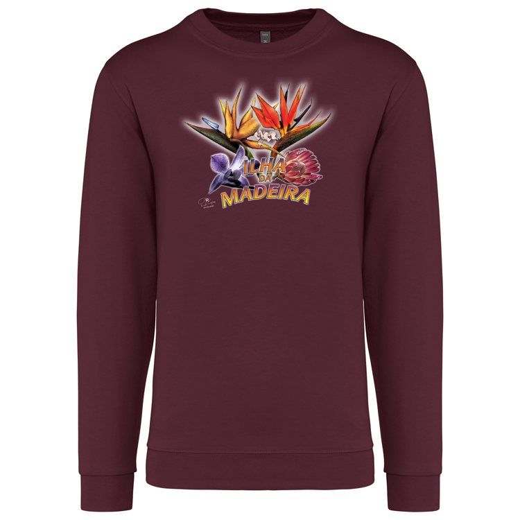 Sweatshirt Kariban sem Capuz Estrelícias