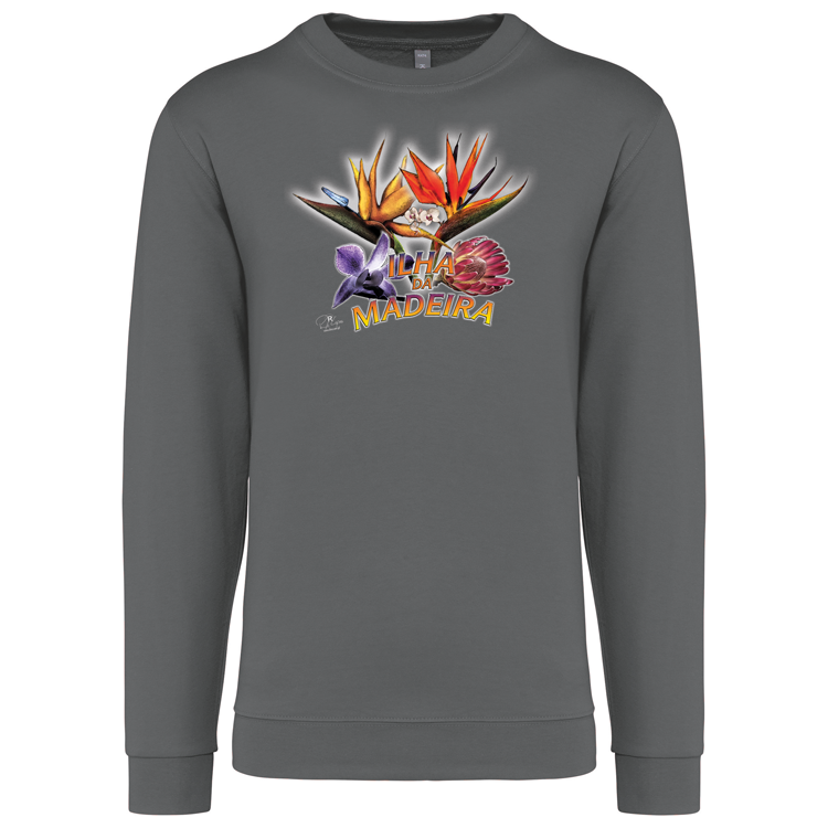 Sweatshirt Kariban sem Capuz Estrelícias