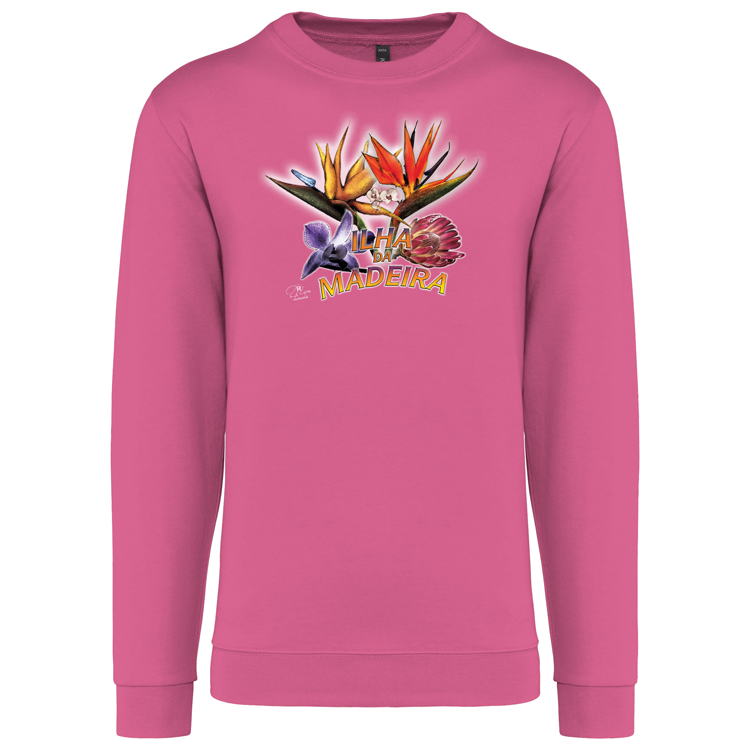 Sweatshirt Kariban sem Capuz Estrelícias