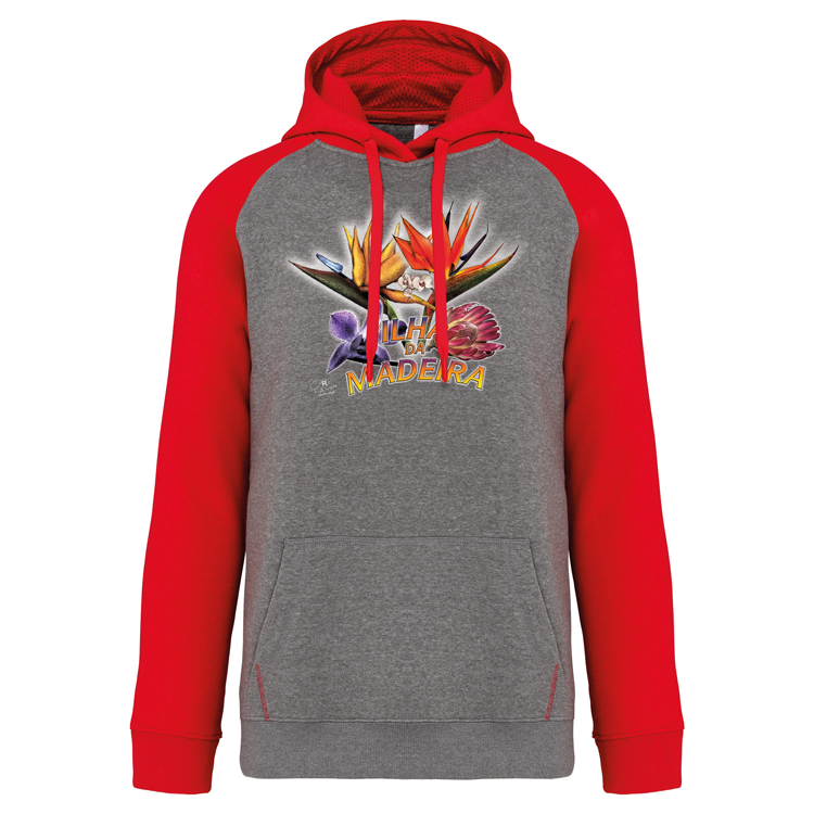 Sweatshirt Bicolor com capuz Estrelícias
