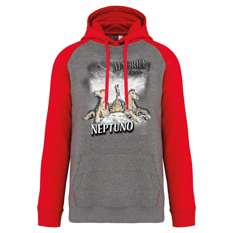Sweatshirt Bicolor com capuz Neptuno