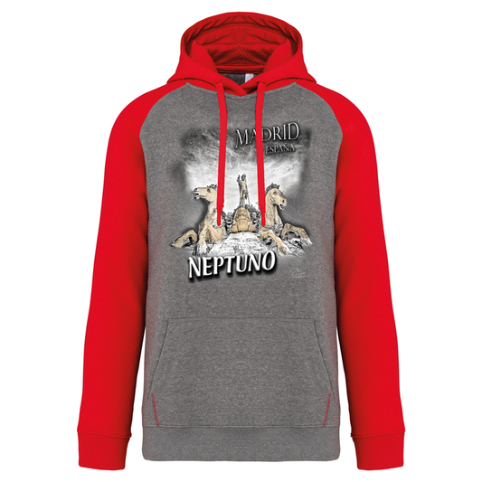 Sweatshirt Bicolor com capuz Neptuno