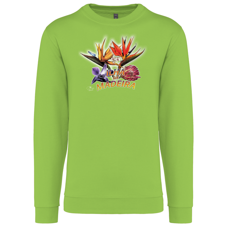 Sweatshirt Kariban sem Capuz Estrelícias