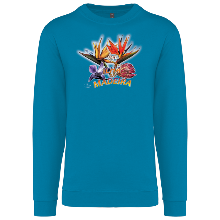 Sweatshirt Kariban sem Capuz Estrelícias
