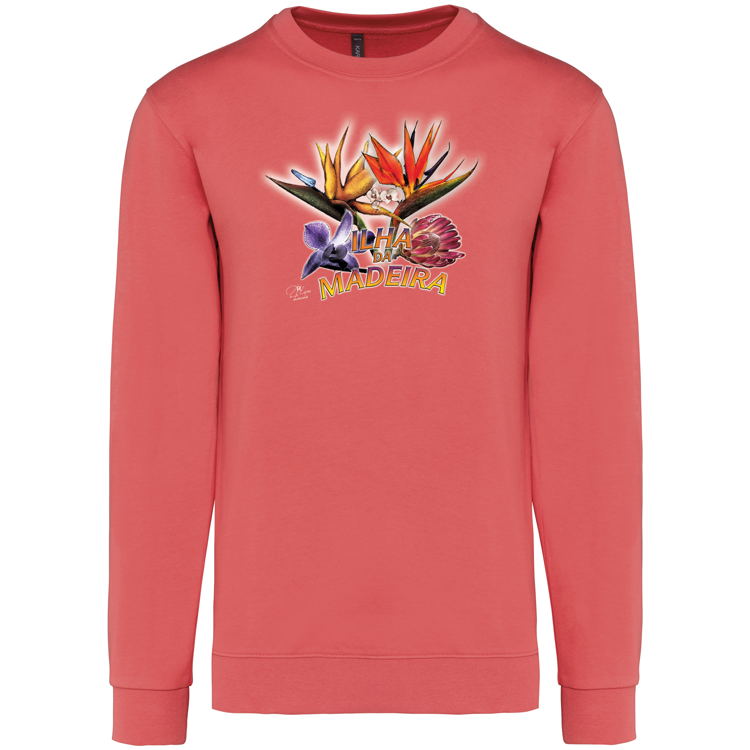 Sweatshirt Kariban sem Capuz Estrelícias