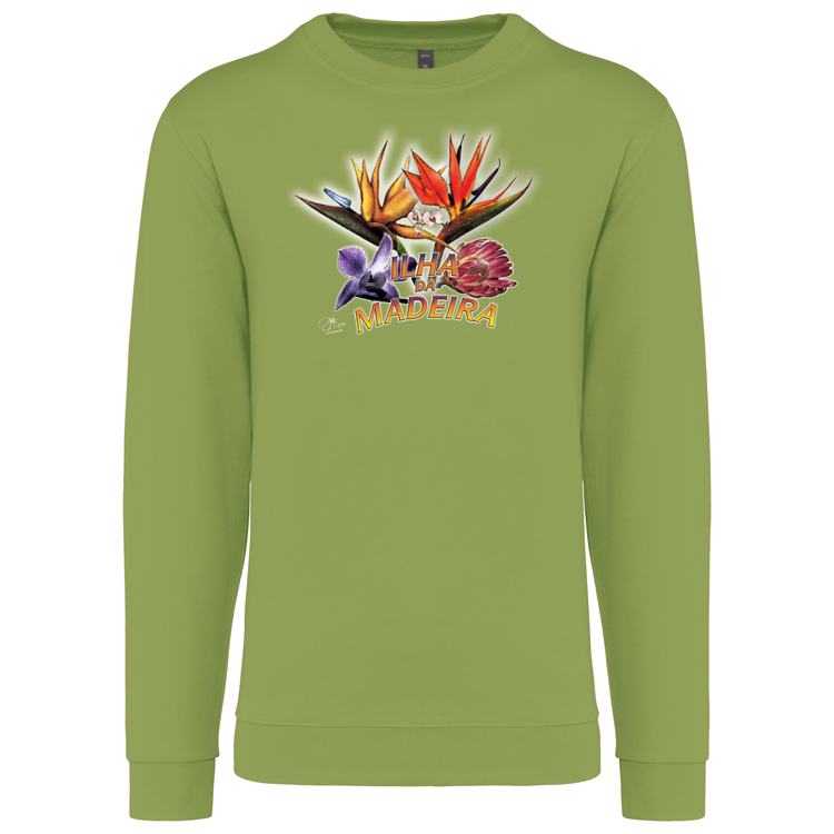 Sweatshirt Kariban sem Capuz Estrelícias