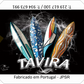 Magnético Surfboards Tavira
