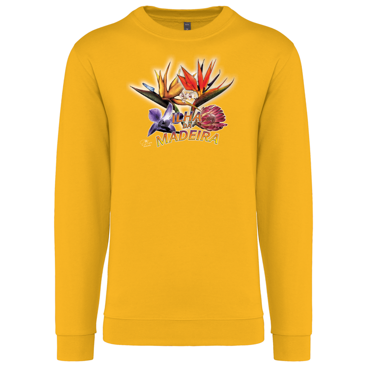 Sweatshirt Kariban sem Capuz Estrelícias