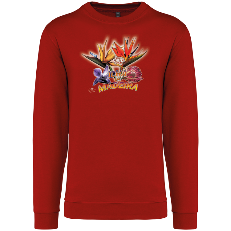 Sweatshirt Kariban sem Capuz Estrelícias