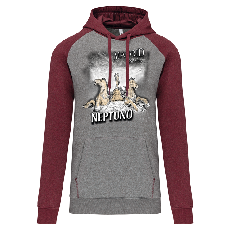 Sweatshirt Bicolor com capuz Neptuno