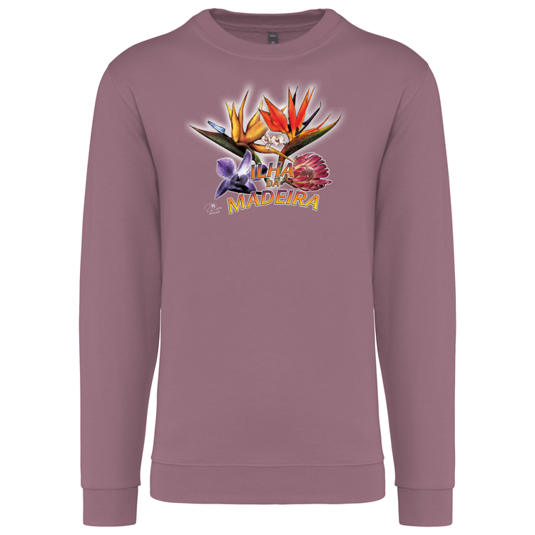 Sweatshirt Kariban sem Capuz Estrelícias