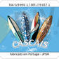 Magnético Surfboards Cascais